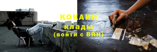 шишки Михайлов