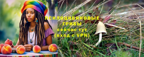 хмурый Мегион