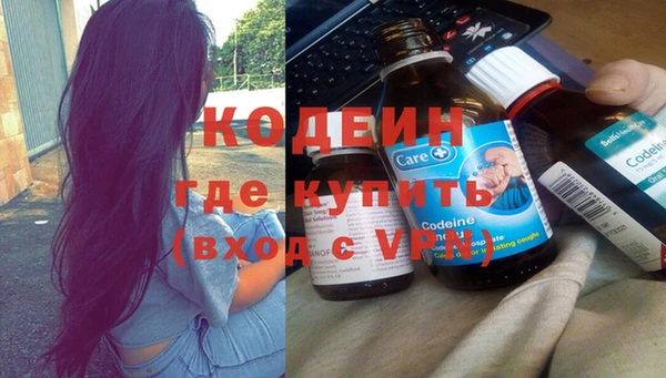 хмурый Мегион
