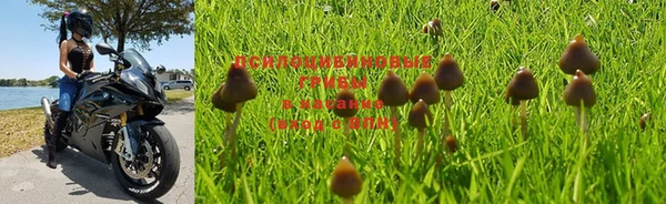 хмурый Мегион