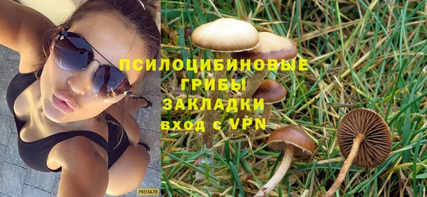 шишки Михайлов
