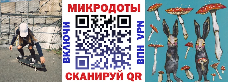 Псилоцибиновые грибы Psilocybe Северодвинск