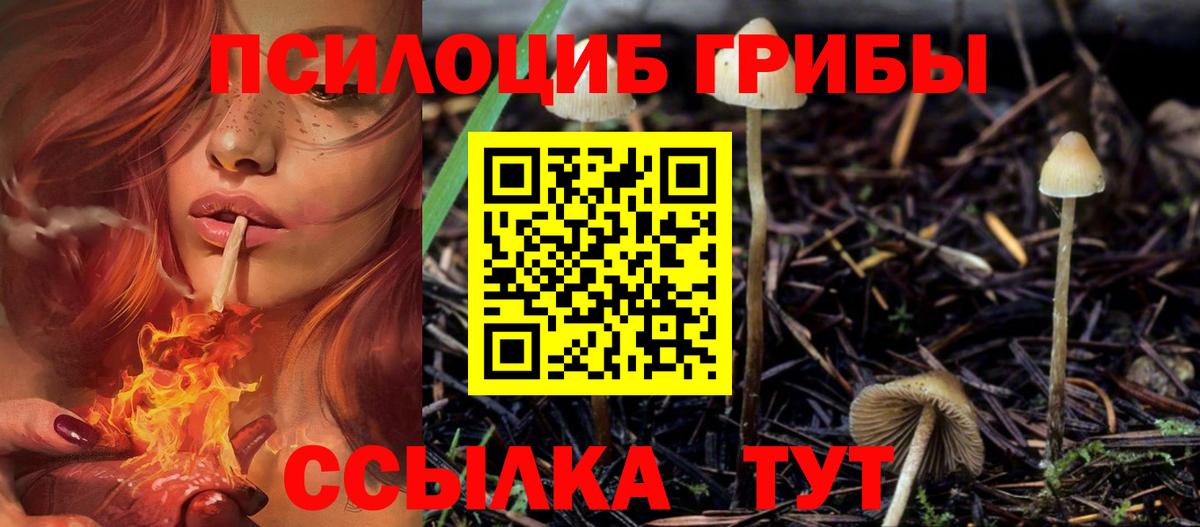 Псилоцибиновые грибы мицелий  Северодвинск  Псилоцибиновые грибы мицелий 