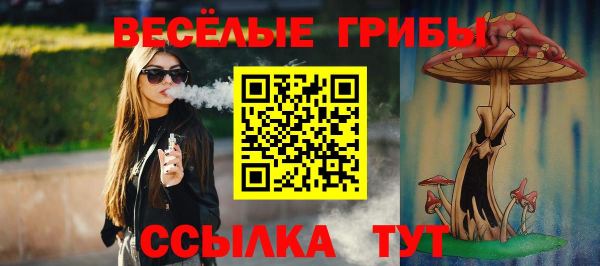 Северодвинск  Псилоцибиновые грибы ЛСД  Галлюциногенные грибы мицелий  Вход с VPN 